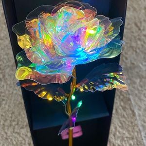 Light up Rose